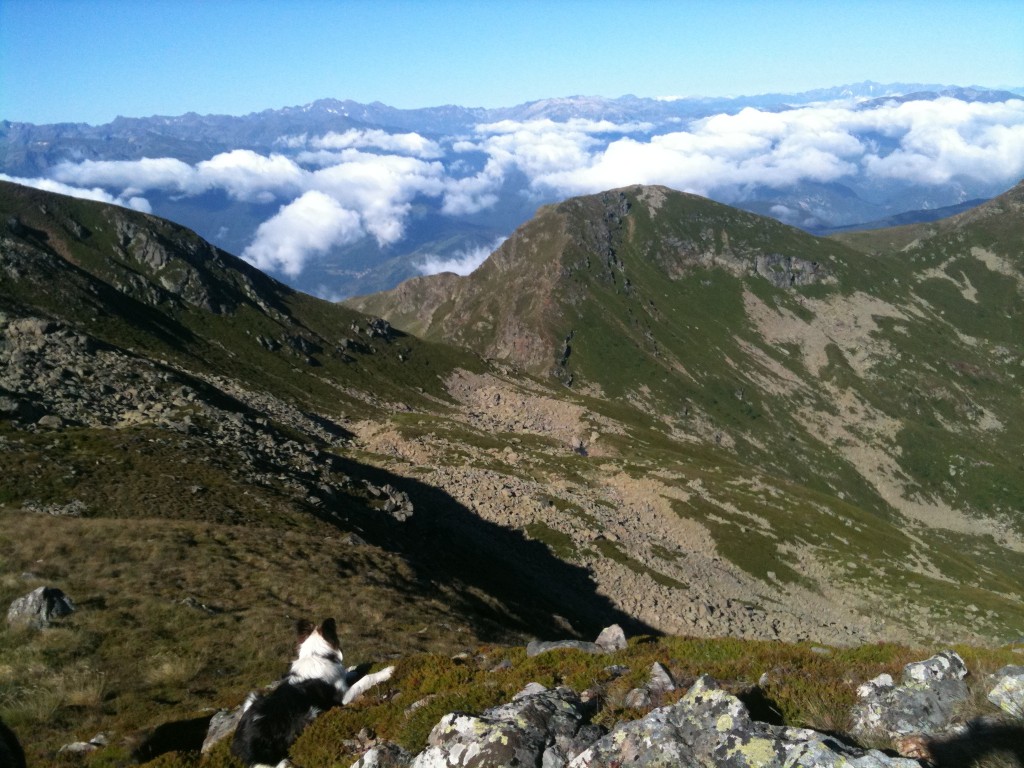 estive d'Appy en Ariège