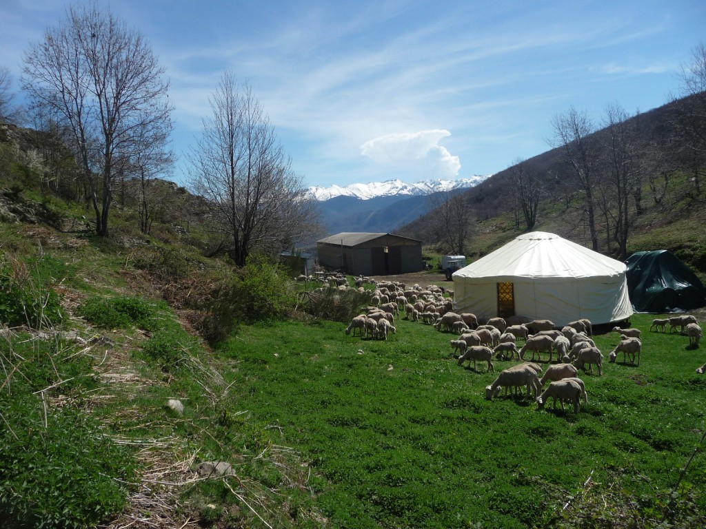 Ferme du Saladou - Ariège, Pyrénées